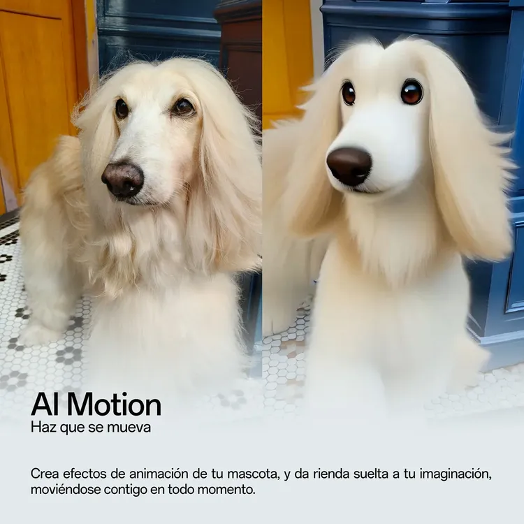 CELULAR  OPPO RENO 13 512GB 5G BLANCO + RELOJ